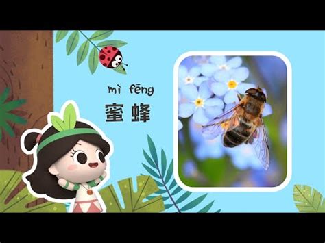 蜜蜂象徵意義|【蜜蜂 象徵】揭秘蜜蜂的象徵與寓意：勤勞、智慧與。